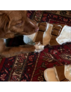 Birkenstock Mules Fourées Femme Arizona Vl Shearling Daim Marron -Hylton Magasin 1001135 birkenstock 5