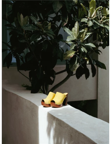 Sandro Rosi Mules à Talon Femme 7551 Cuir Jaune 9 Sandro Rosi Mules à Talon Femme 7551 Cuir Jaune – Image 7